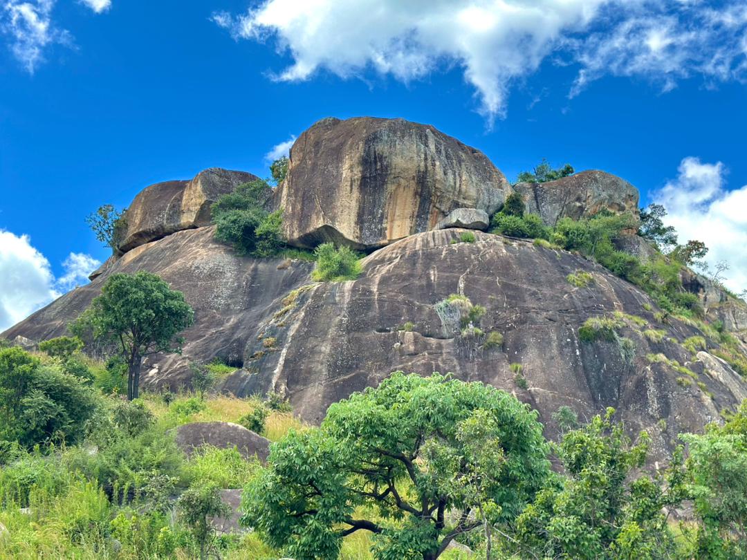 Rocky mountain towering over lush green trees