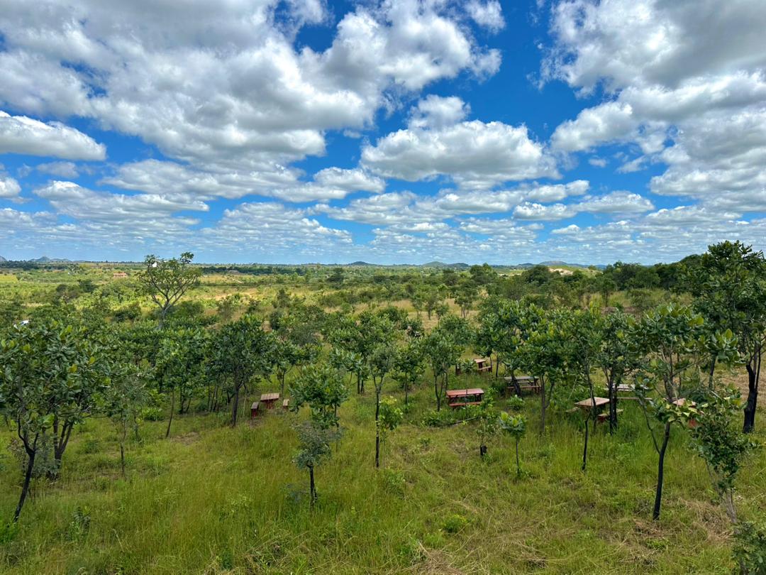 Panoramic Nzvimbo Valley